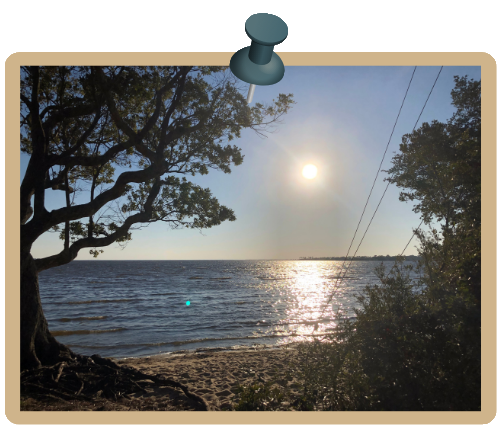 Sun shining over the sound and trees